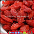 Acquistare bacche di goji piante di goji vendita proprieta del goji